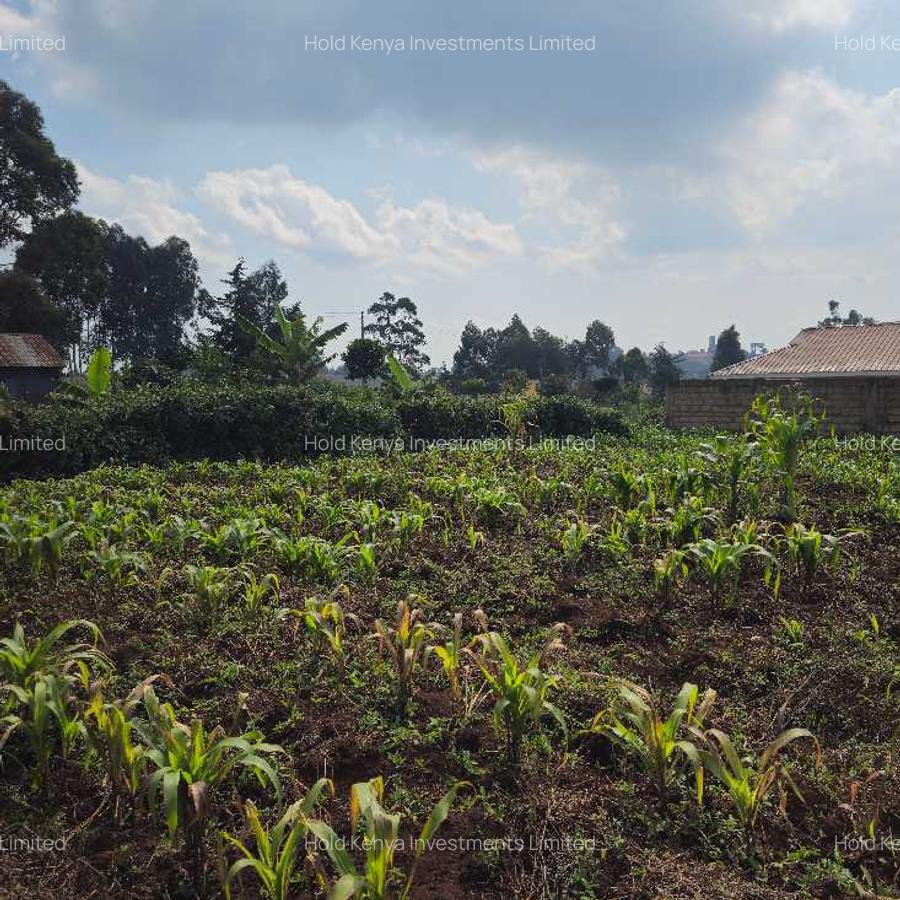 Land at Limuru Road - 14