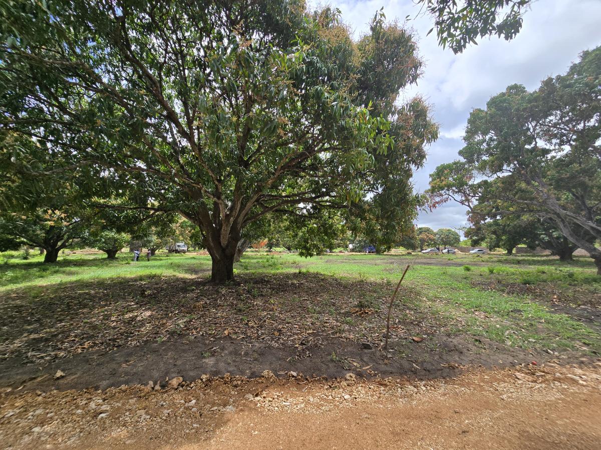 Land at Mombasa Malindi Highway - 9