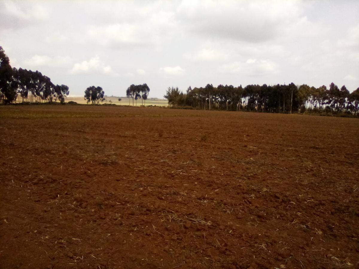 Land at Timau - 11