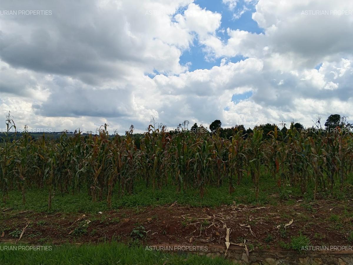 0.5 ac Land in Tigoni - 10