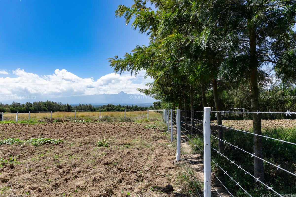 0.125 ac Residential Land in Nanyuki - 5