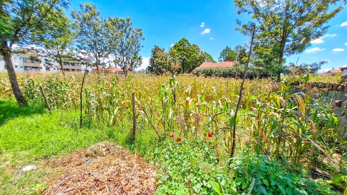 0.25 ac Residential Land at Kiamunyi - 3