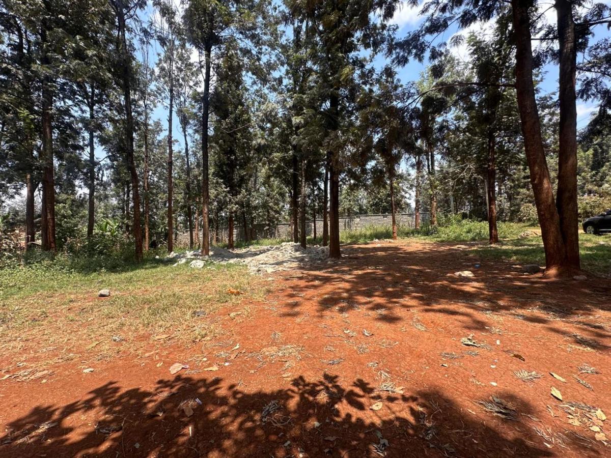 0.75 ac Residential Land at Thindigua