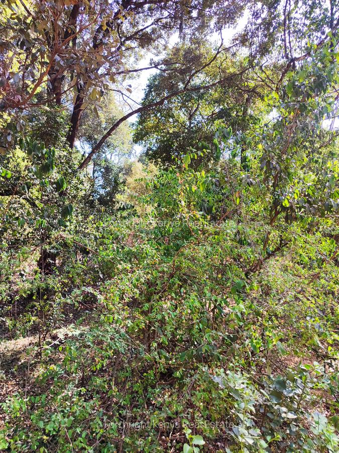 2.3 ac Land at Giraffe Centre - 17