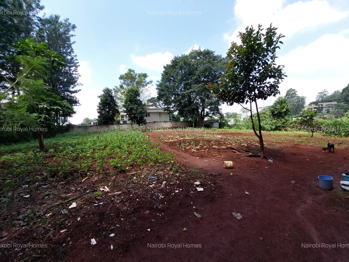 Residential Land at Kirawa Road - 1