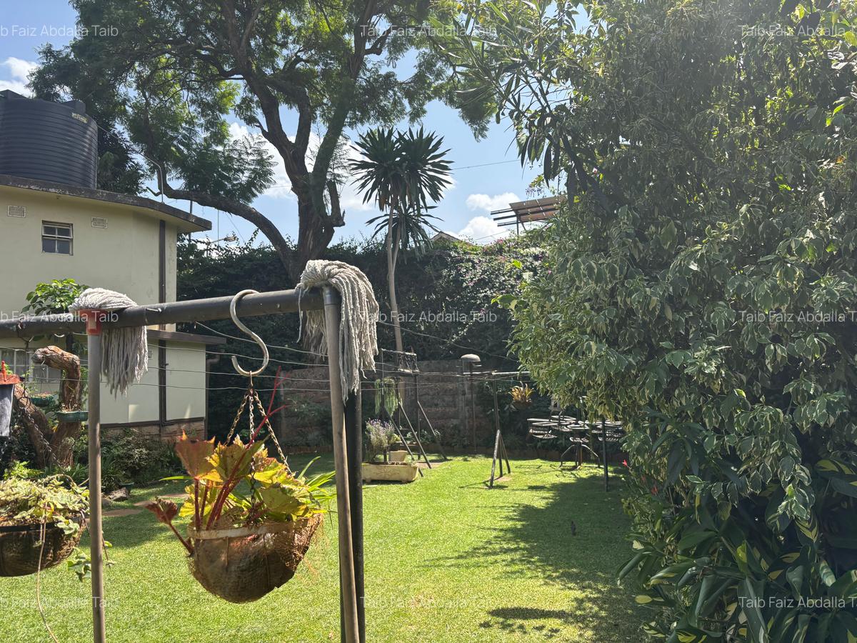 0.5 ac Land at Woodlands Road - 4