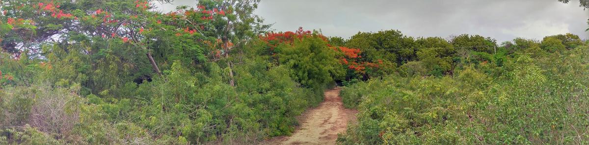 Land in Vipingo - 4
