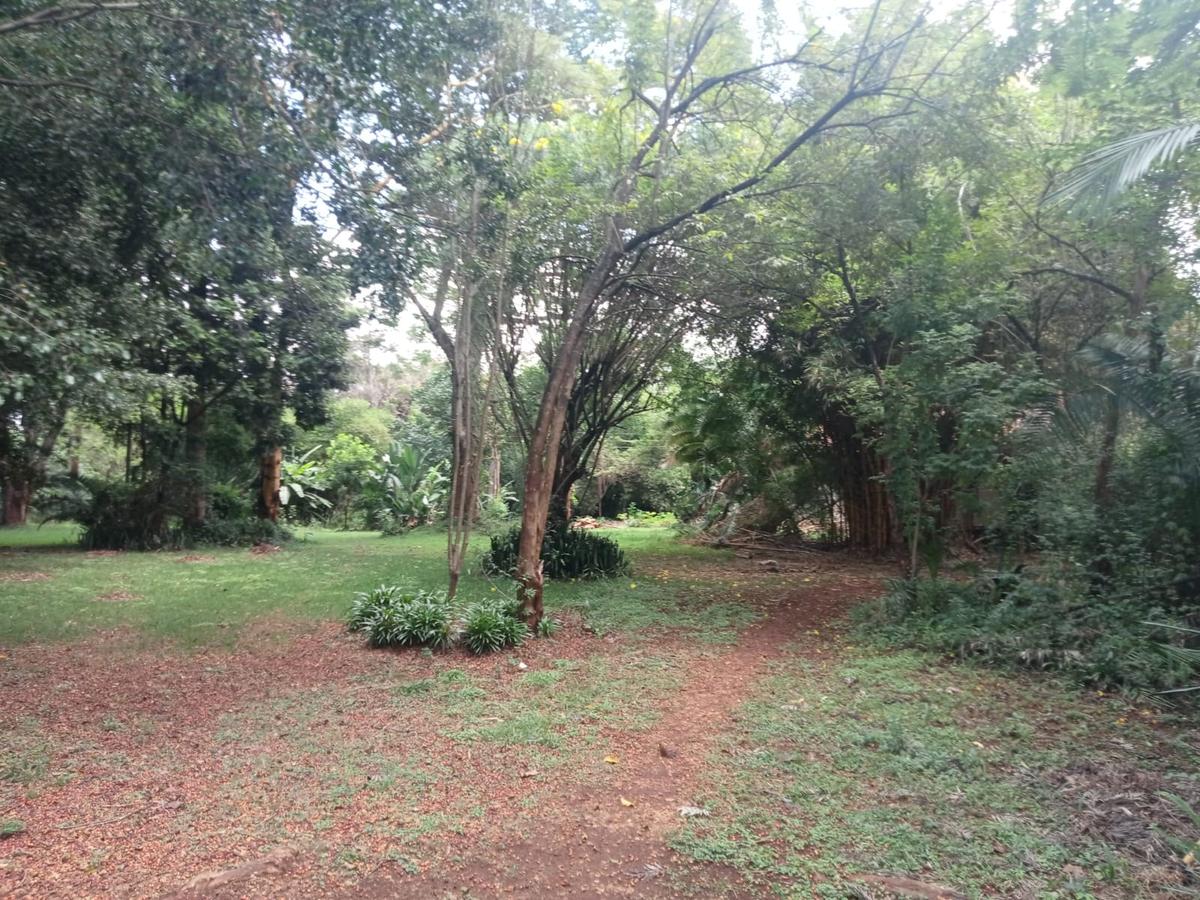 Land at Kitisuru Road - 4