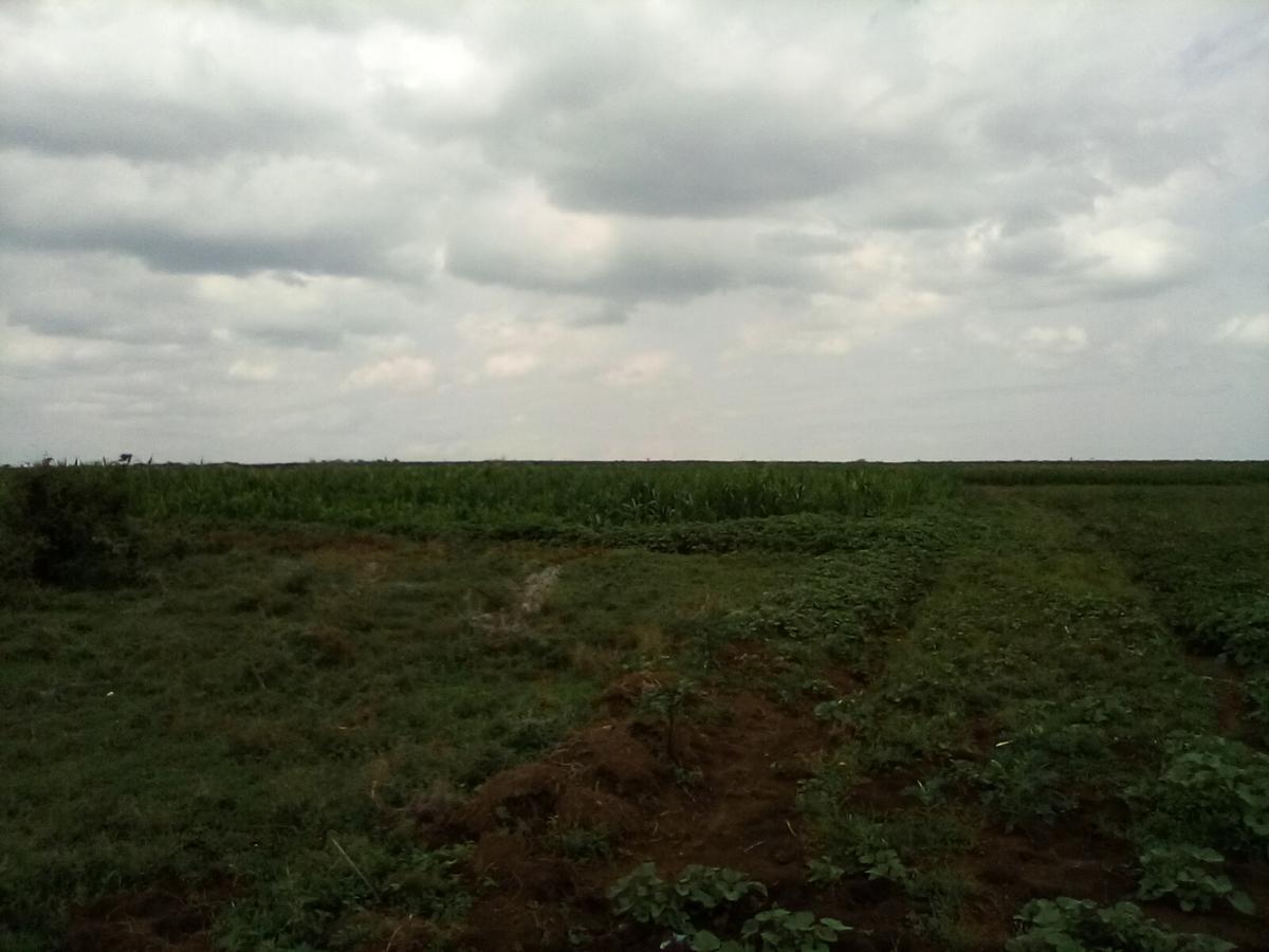 Land at Nanyuki-Rumuruti Rd - 11