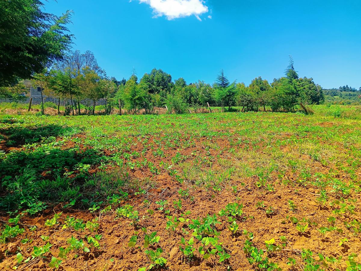 500 m² Residential Land at Runana Area - 3