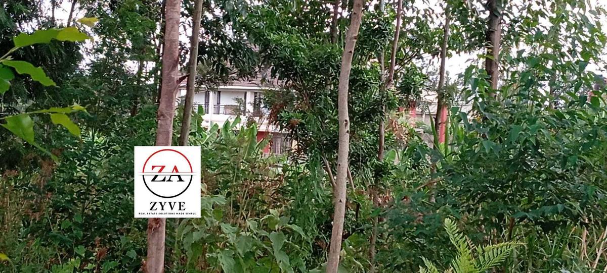 0.125 ac Land at Kasphat Estate - 9