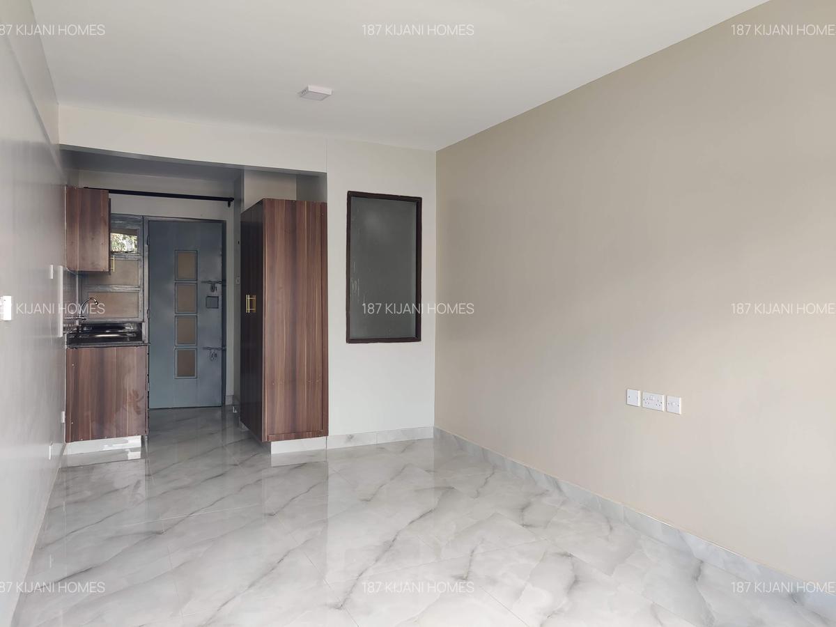 Studio Apartment with En Suite at Naivasha Road - 10