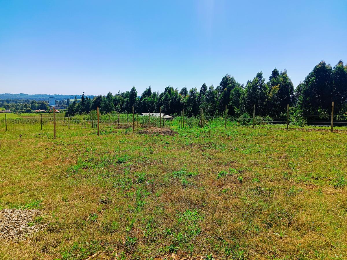 450 m² Residential Land at Ha. Koinange - 8