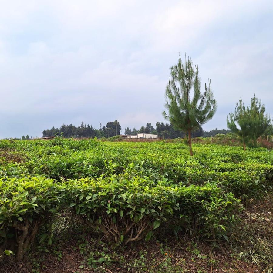 1 ac Land at Limuru Girls - 1