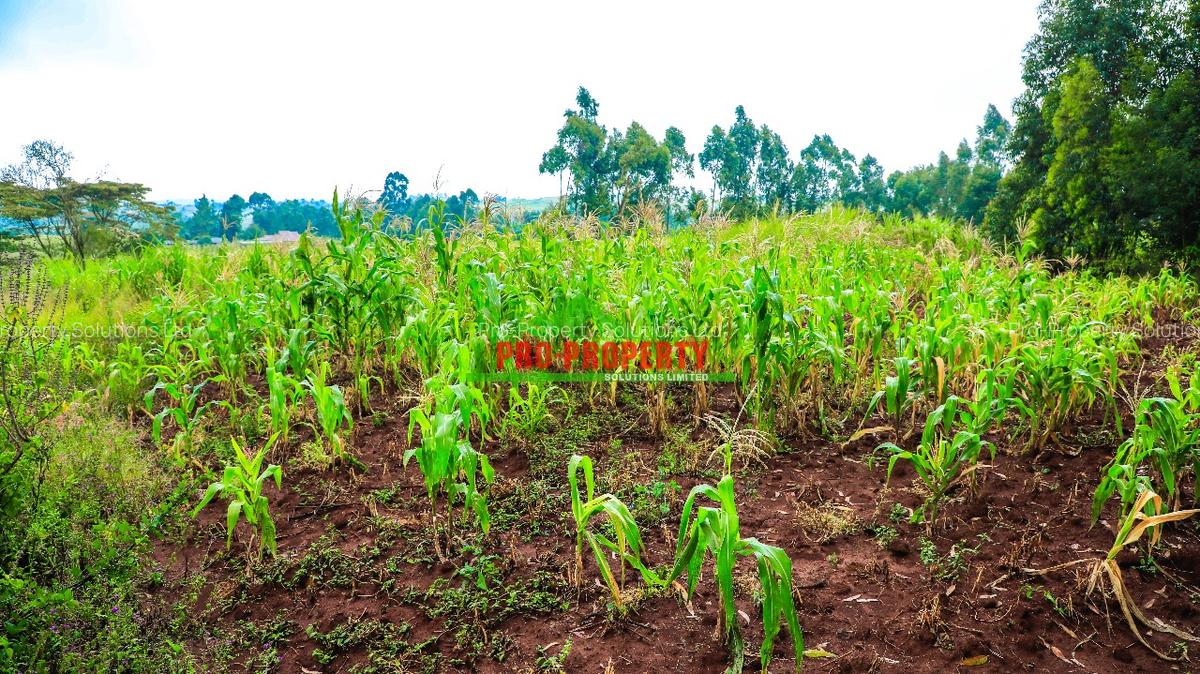 0.05 ha Residential Land at Gikambura - 5