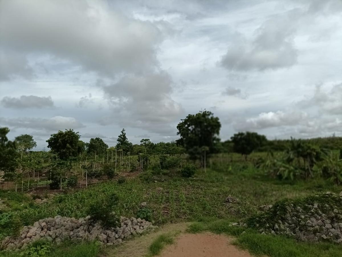 Land in Vipingo - 5