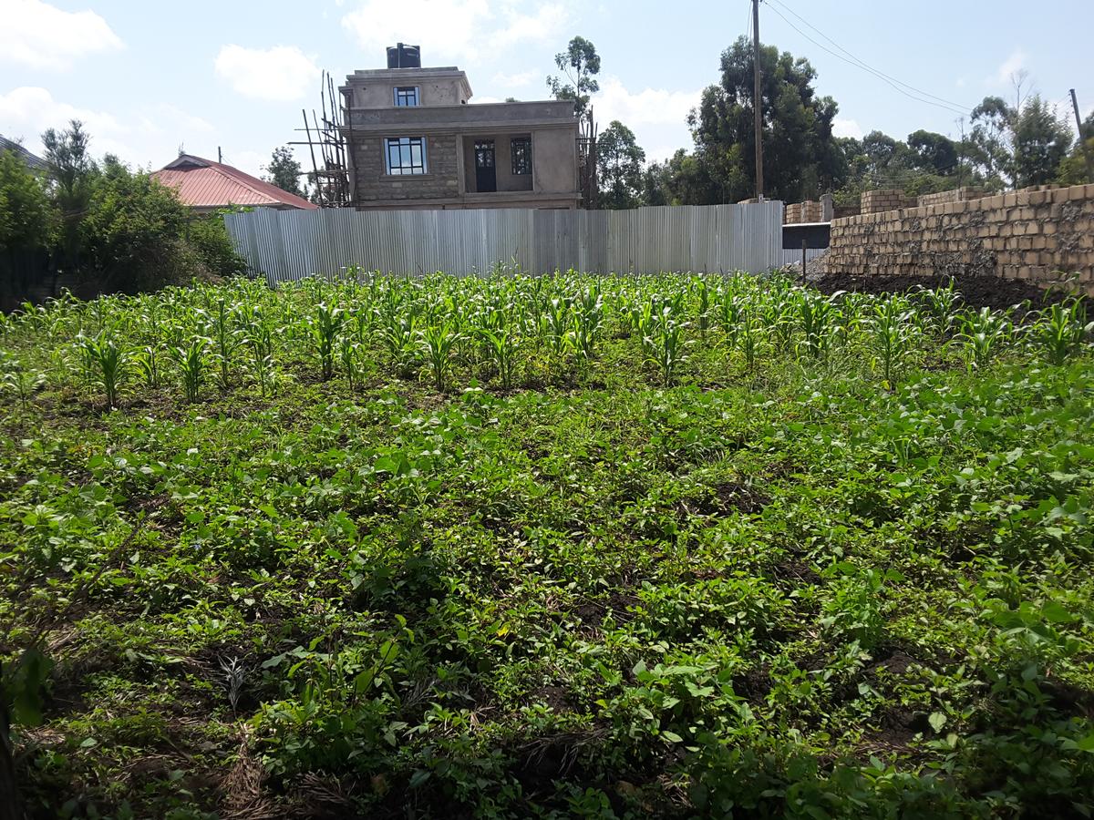 0.125 ac Residential Land in Ongata Rongai - 1