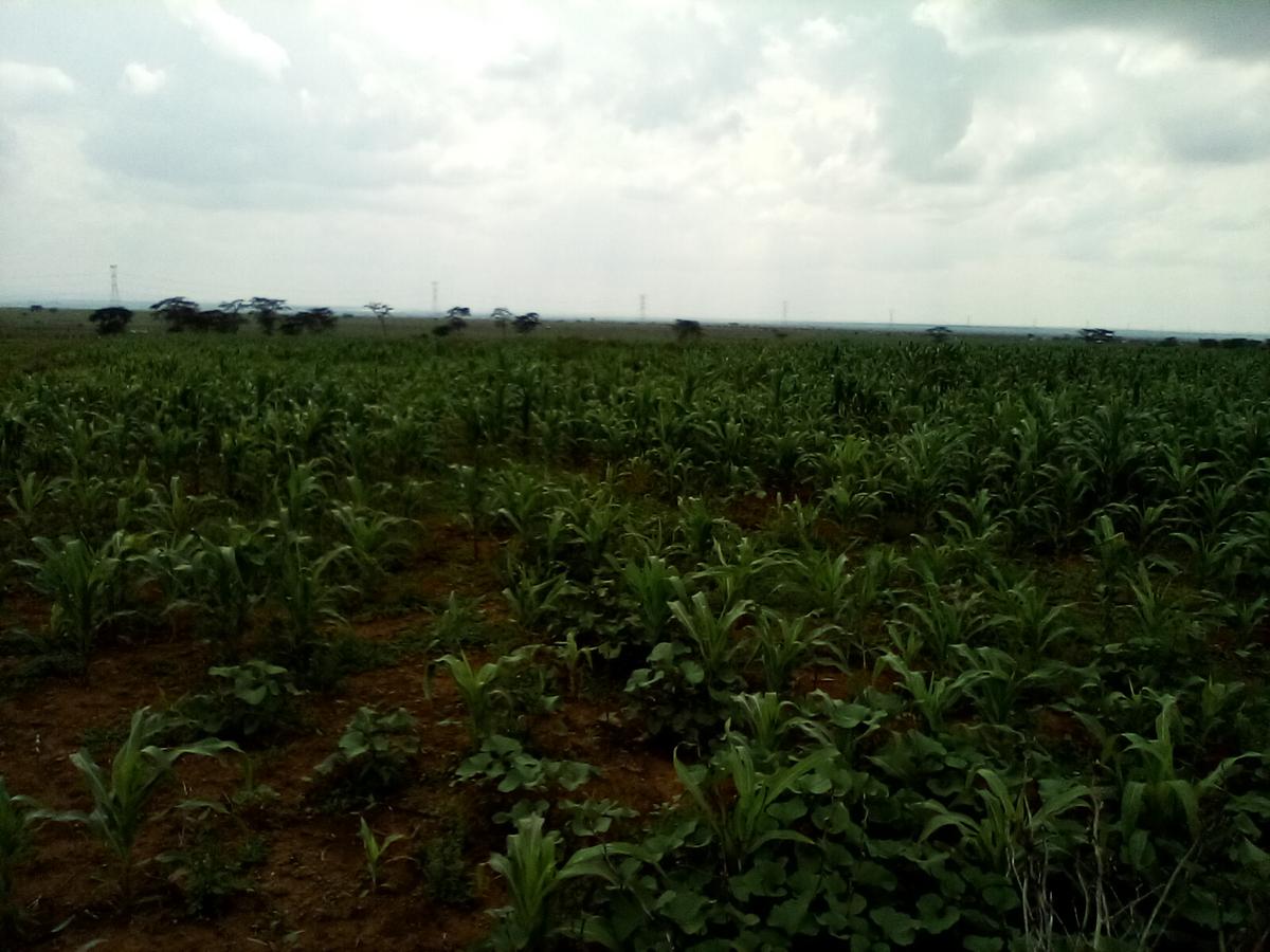 Land at Nanyuki-Rumuruti Rd - 2