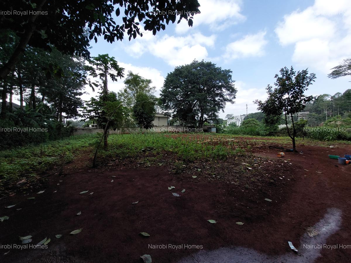Residential Land at Kirawa Road - 17