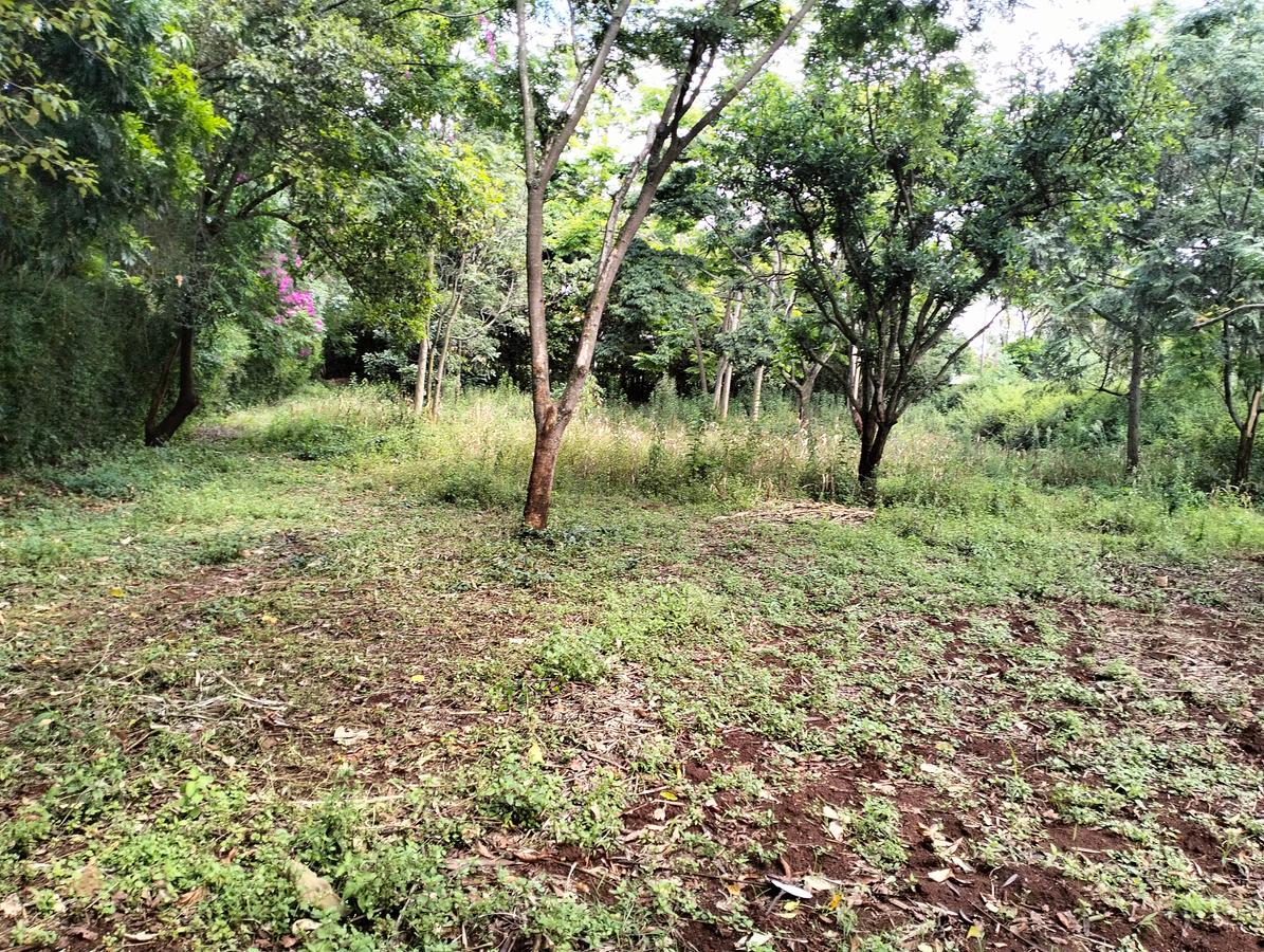 1 ac Land in Runda - 1