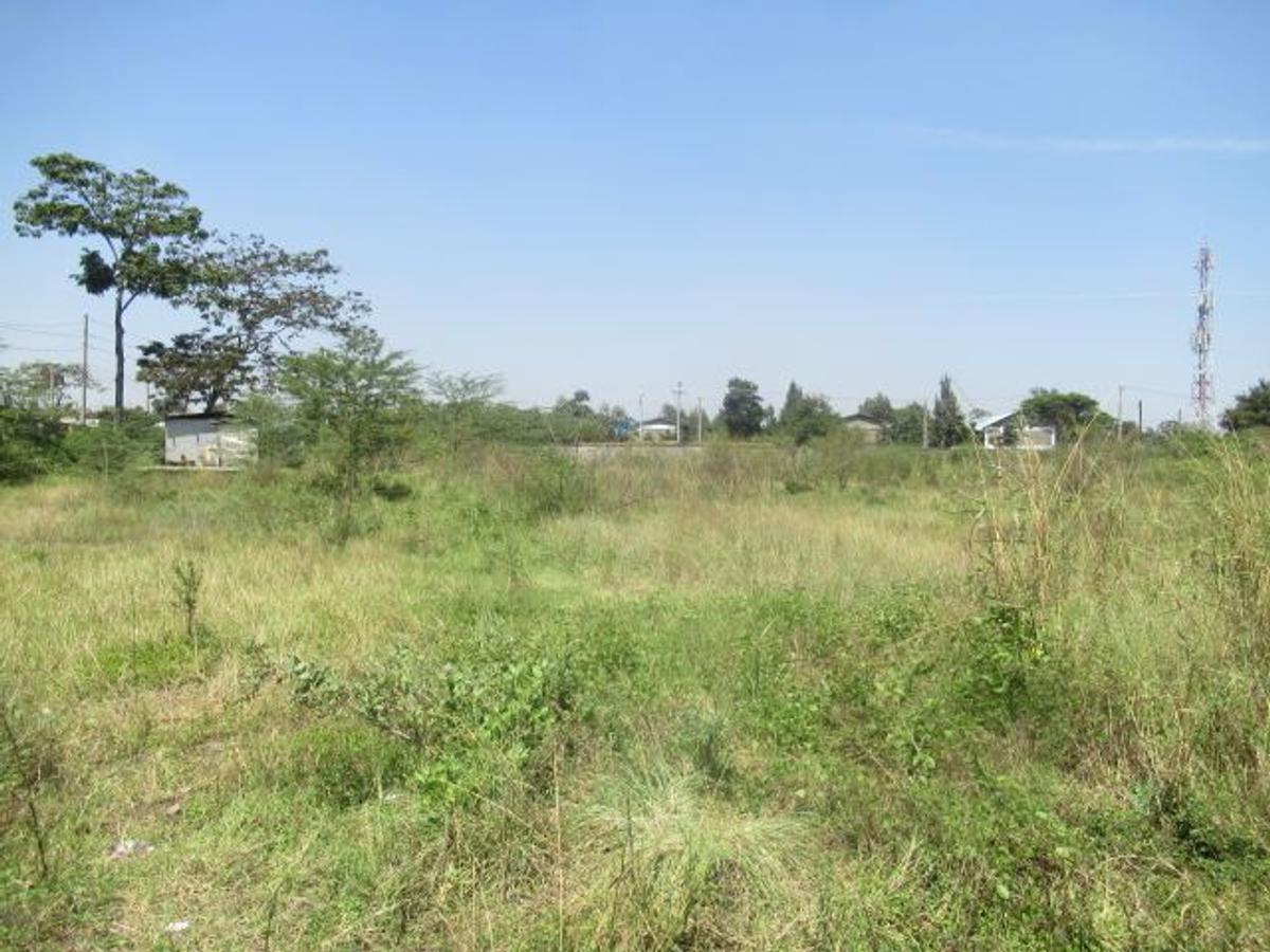 23,796 m² Commercial Land at Nyasa Road - 2