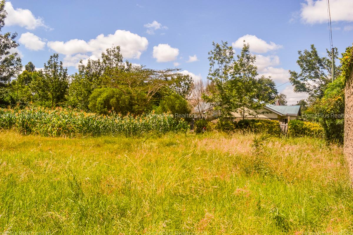 Residential Land at Ole Pasha Drive - 4