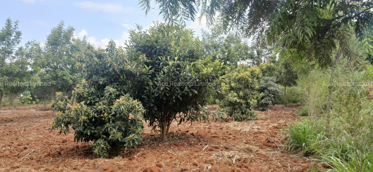 0.25 ac Land at Ndeiya Kiroe Limuru - 1