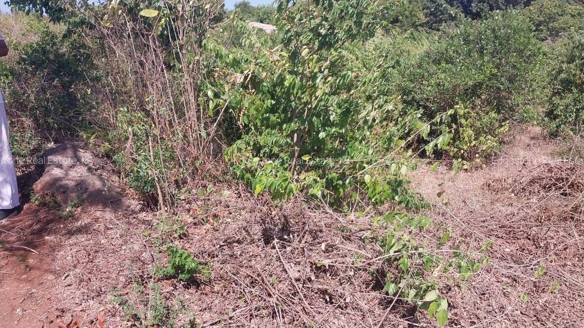 Land in Kilifi - 2