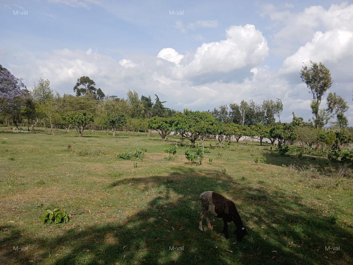 0.114 ac Land in Nyeri - 1