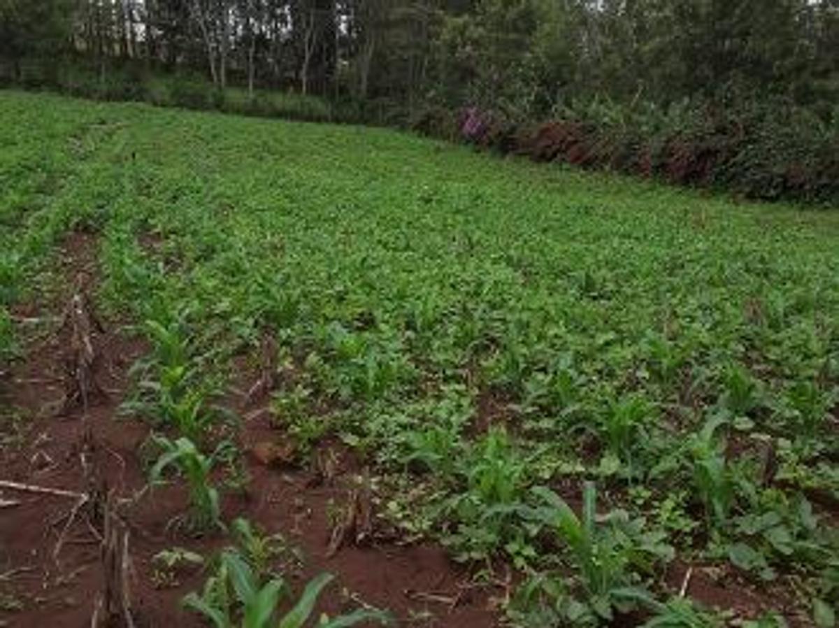 0.113 ac Land in Ngong - 7