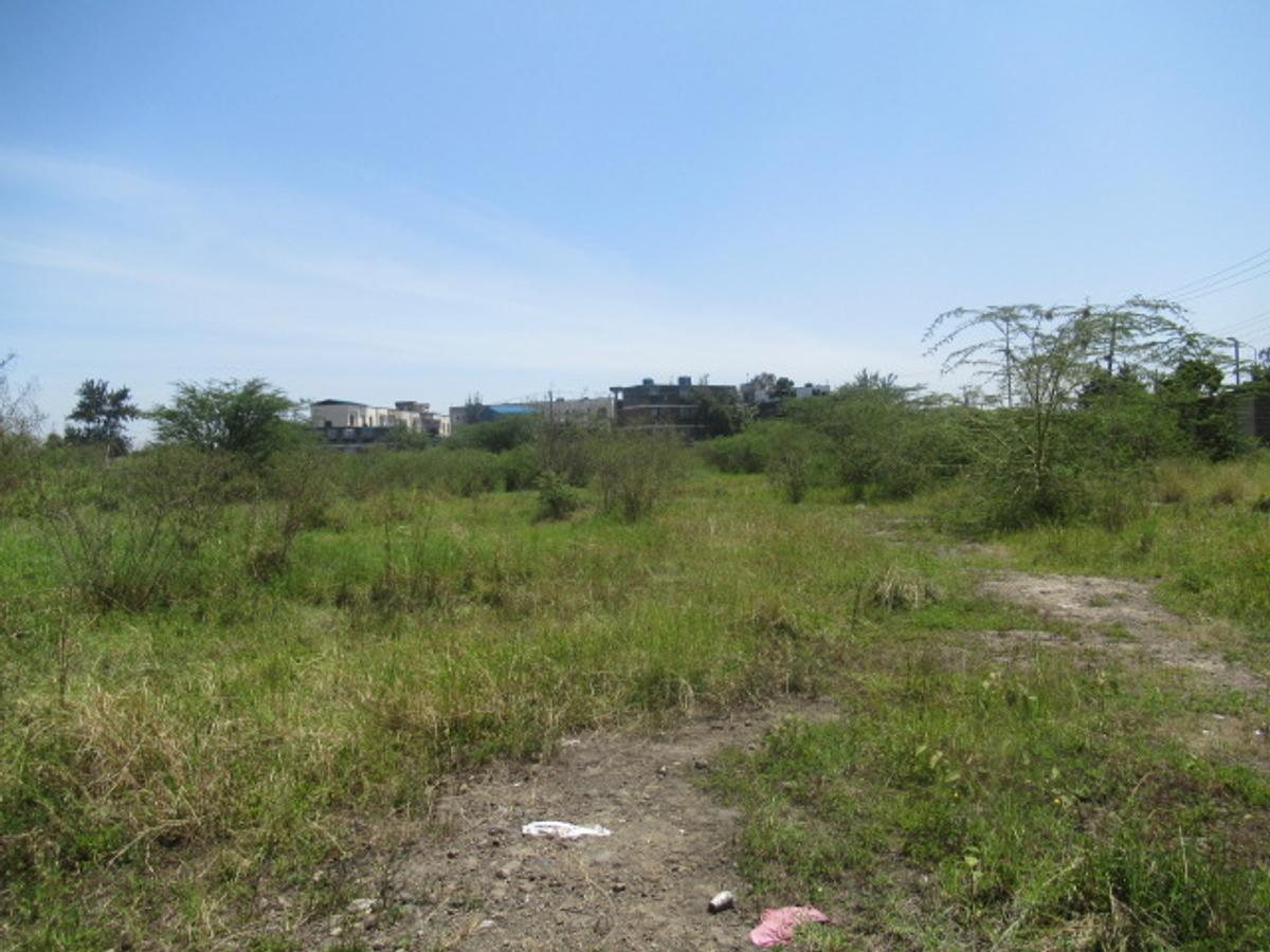 Land at Nyasa Rd - 6