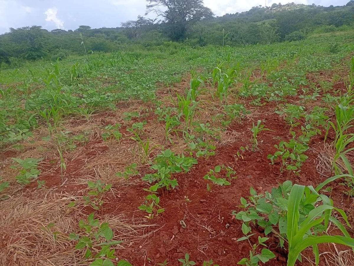 Residential Land at Mutuabare - 4