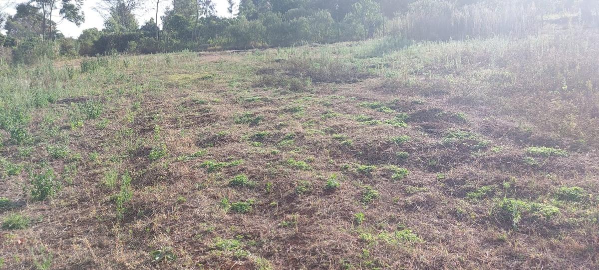 0.5 ac Residential Land at Near Gichuru High School - 9