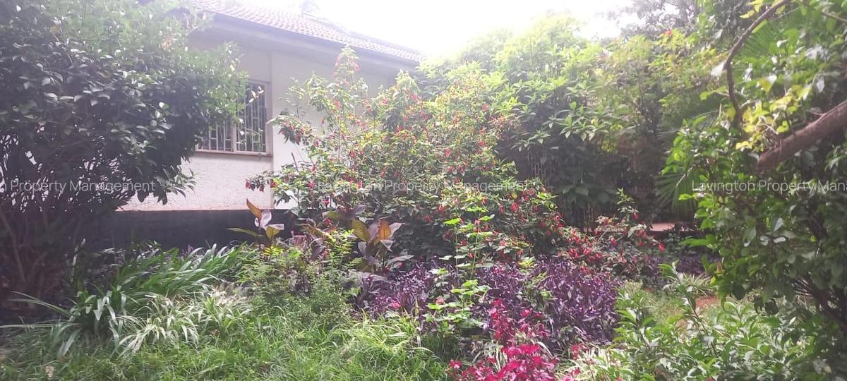 0.65 ac Residential Land at Musanduku Rd Off Mbaazi Avenue - 5