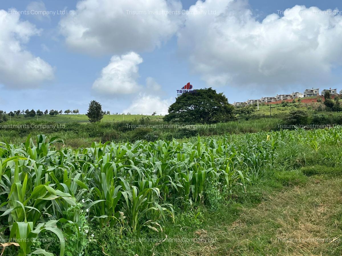10 ac Land at Tigoni - 2