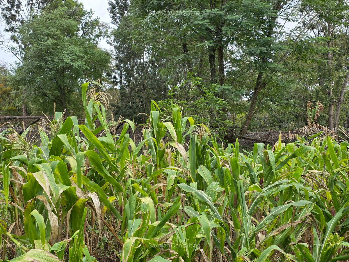 Residential Land in Karen - 2