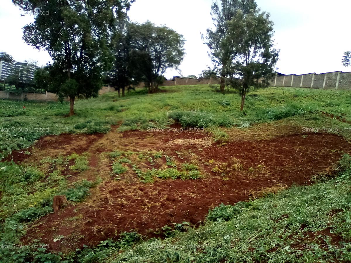 Land at Red Hill Rd - 18