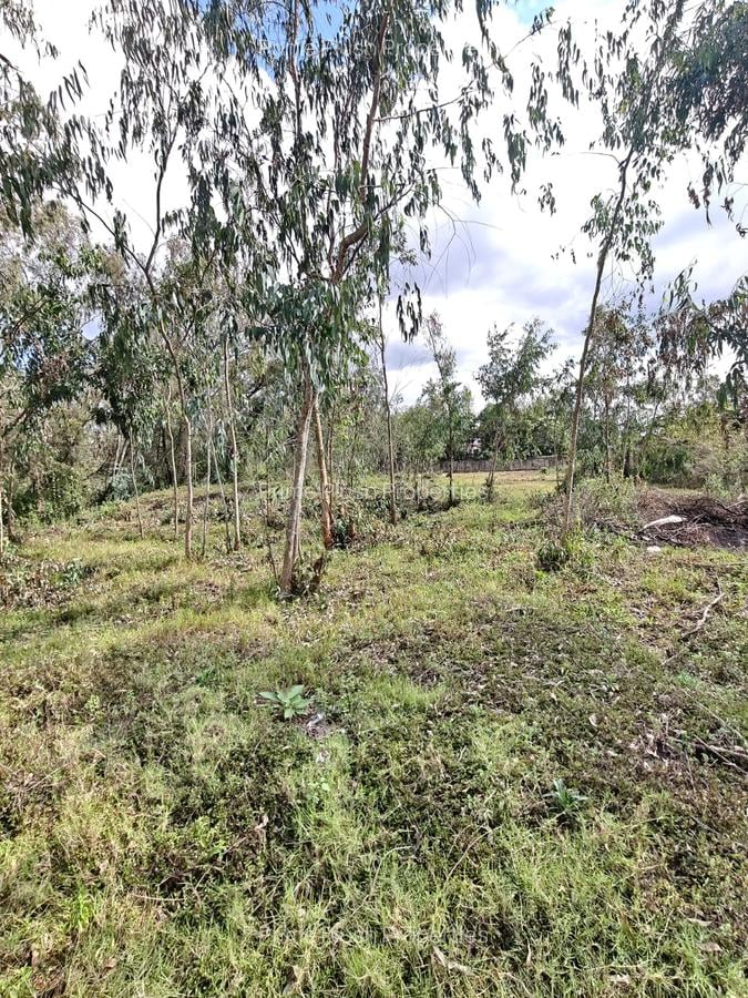 0.5 ac Land in Karen - 4