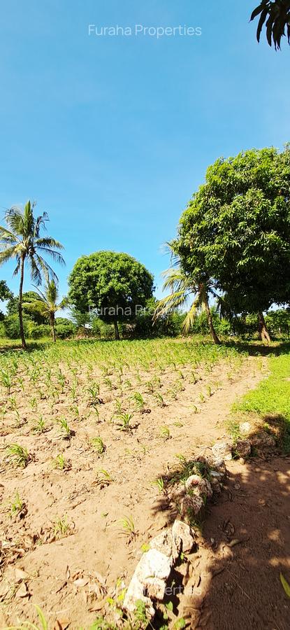 Land at Kilifi Tezo - 12