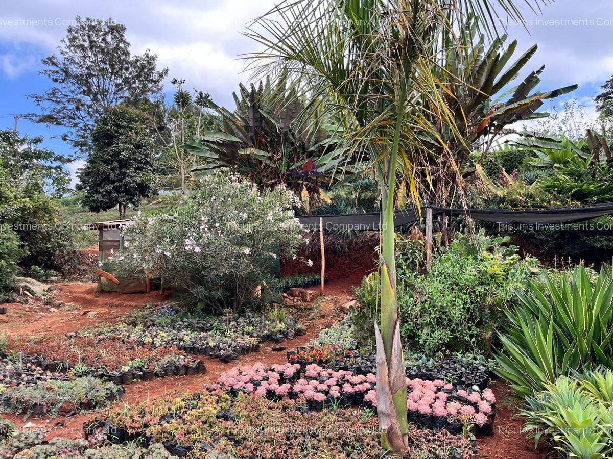 1 ac Land in Nyari - 2