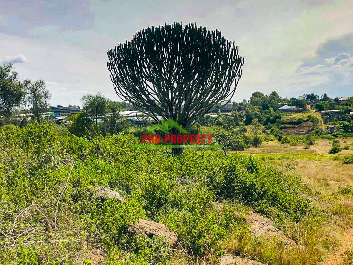 0.125 ac Land in Thika - 14