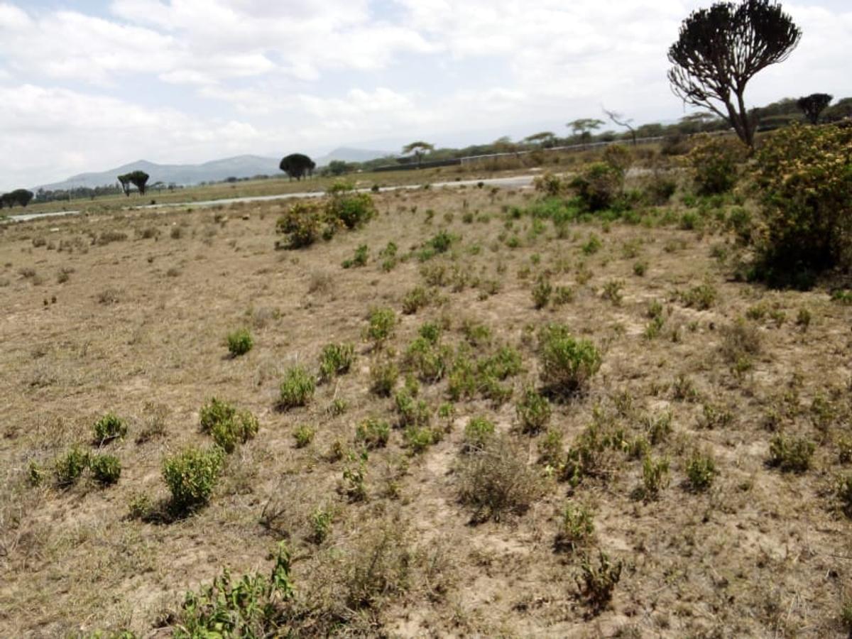 Land in Naivasha - 9