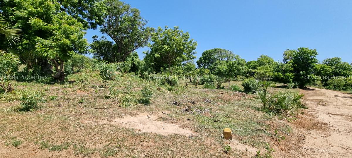 1,000 ft² Land at Kuruwitu - 17