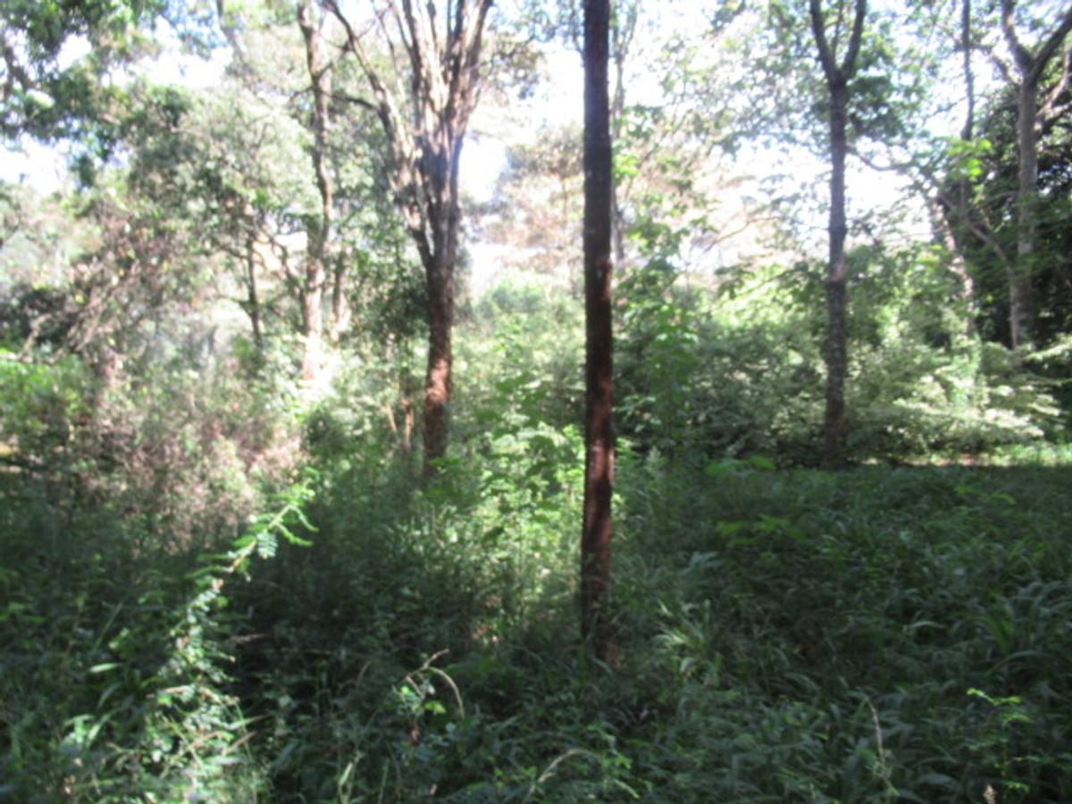 Residential Land at Mwitu Estate - 7