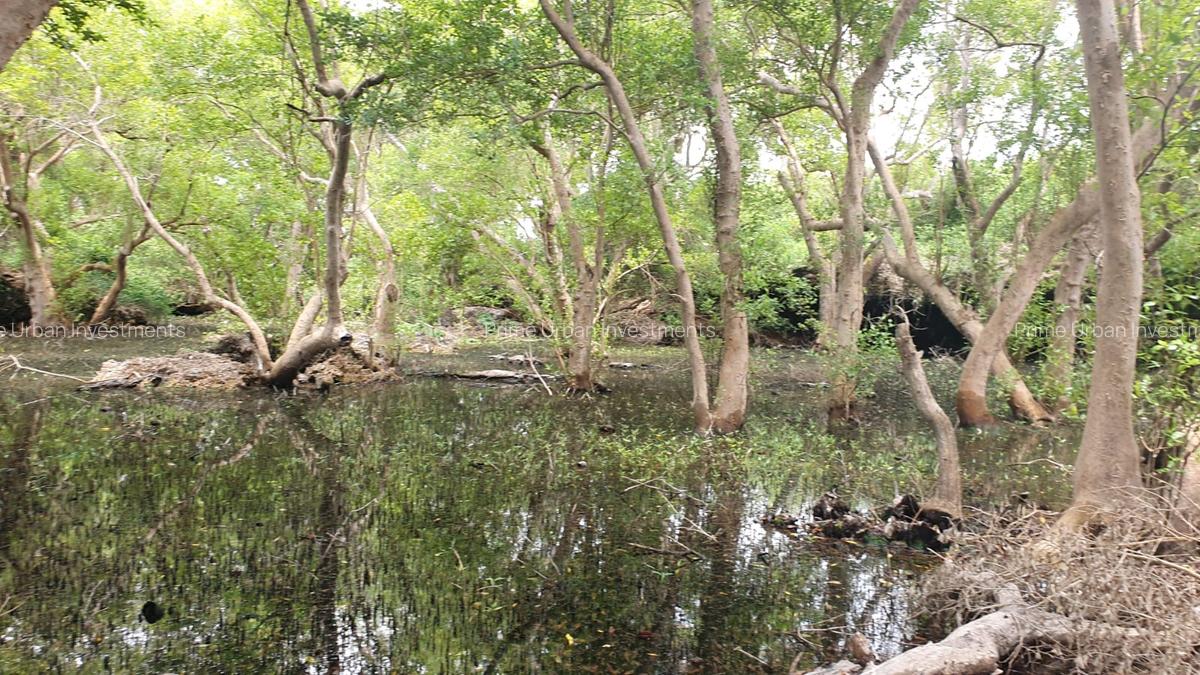 7 ac Land in Watamu - 10