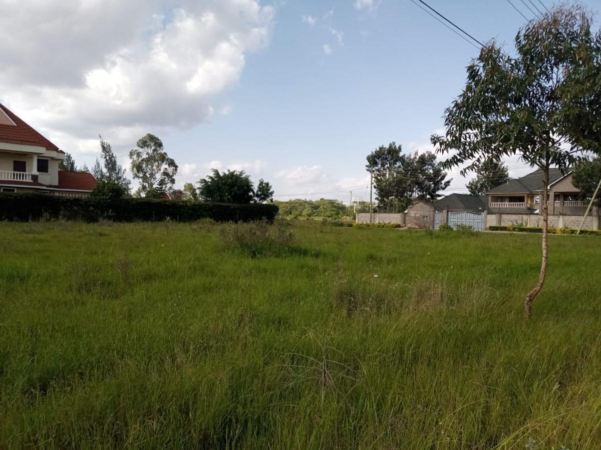 0.5 ac Residential Land at Bomas - 4