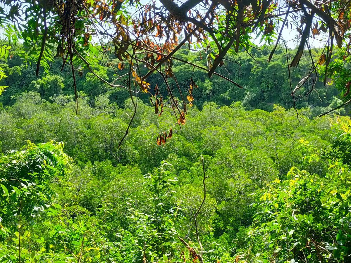 Land in Kilifi County - 16