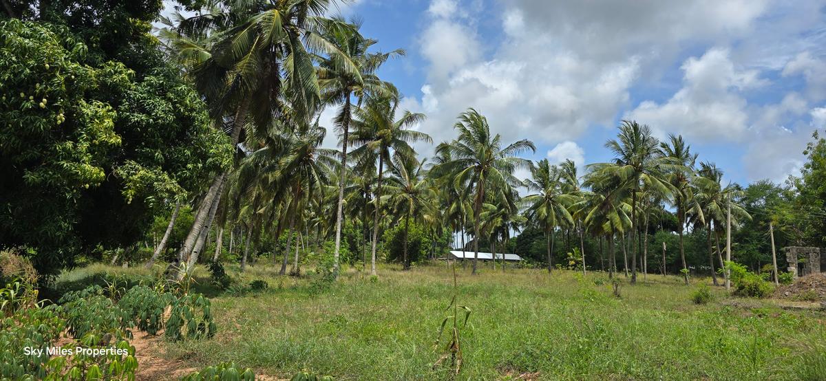 6 ac Land at Bomani - 9