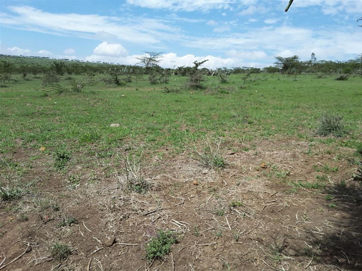 4 ac Residential Land in Kiserian - 12