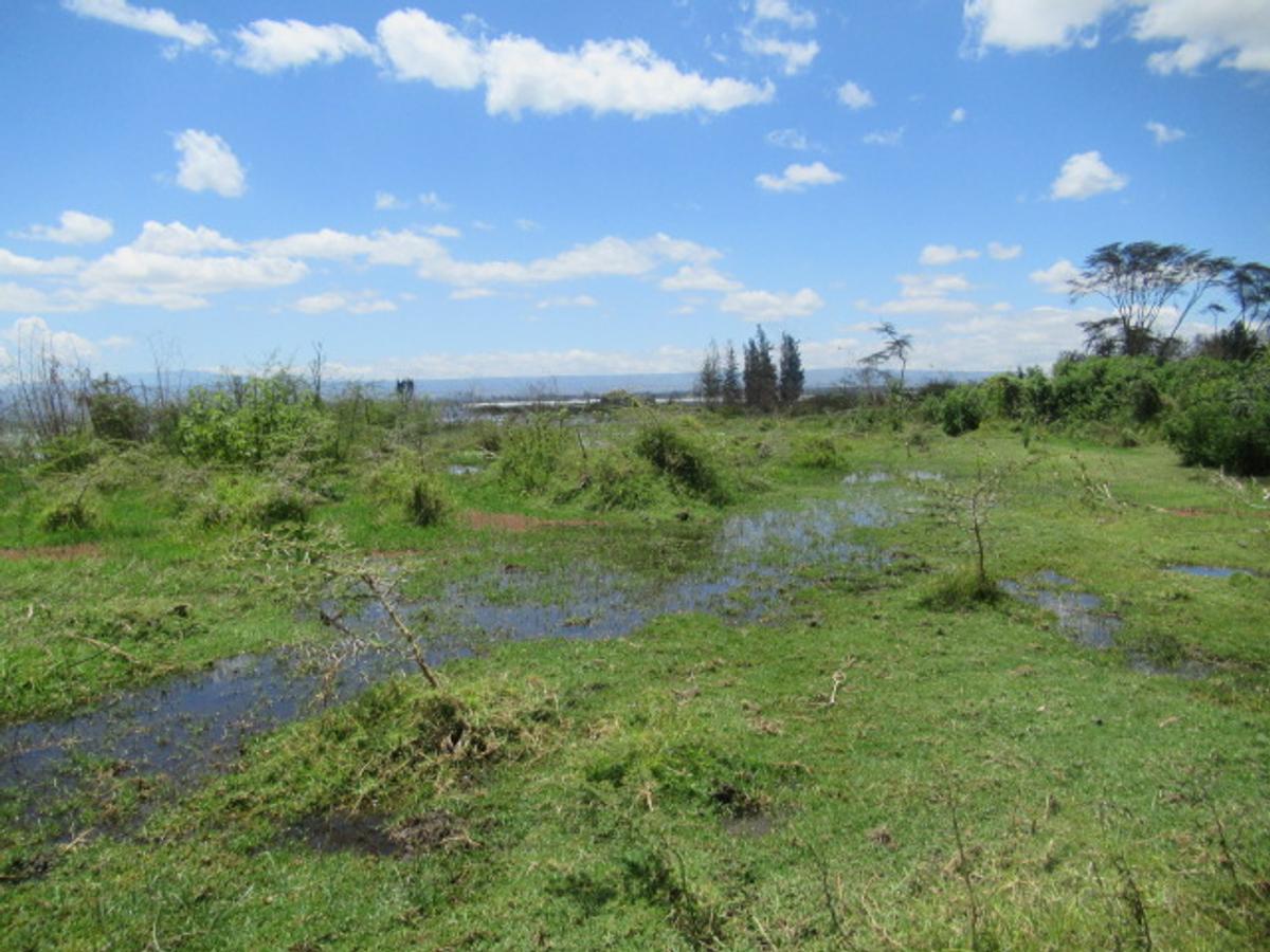 25 ac Land at Moi South Lake Rd - 9